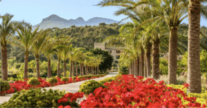 Schon zum 10. Mal eröffnet im März dieses Jahres das einzigartige Castell Son Claret seine Pforten. Das landschaftliche Anwesen, inmitten von traumhafter Naturkulisse und einem paradiesischen Garten, bietet anspruchsvollen Gästen eine Oase der Ruhe. Das Castell Son Claret, Mitglied der Leading Hotels of the World, liegt am Fuße des Tramuntana-Gebirges in Calvià und ist mit seinen liebevoll und originalgetreu restaurierten 41 Zimmer und Suiten im historischen Schloss ein Unikat. Die Eigentümer, Christine und Klaus-Michael Kühne, haben Wert darauf gelegt, nicht nur die Räume und das Schloss respektvoll umzugestalten, sondern auch die weitläufigen Gärten möglichst zu erhalten. Für den kulinarischen Genuss sorgt Küchenchef José Forteza in dem Restaurant Olivera. Anlässlich dieses Jubiläums sind einige besondere Veranstaltungen im Laufe des Jahres geplant. Ein Artist Workshop für Kunstbegeisterte mit der Malerin Carolina Amigo lässt einen Einblick hinter den Kulissen auf die Kunstwerke von Son Claret. Ebenso kommen Musikbegeisterte auf ihre Kosten, in dem sie einen Nachmittag lang zusammen mit dem Chefdirigenten des Orquestra Simfònica de les Illes Baleares (OSIB), Pablo Mielgo, über seine SaludArte Foundation erfahren und welches künstlerisches und soziales Engagement durch die Musik anstrebt ist. Ein ganz besonderes Highlight auch in diesem Jahr sind die Sommerkonzerte Castell Classics 2023 mit einer herausragenden Besetzung. An nur drei Abenden im Juni, Juli und August veranstaltet das 5-Sterne Luxushotel seine Castell Classics mit Aufführungen von einigen der renommiertesten Opernhäuser Europas, den Salzburger Opernfestspielen, dem Opernhaus Leipzig und dem Teatro de Maggio Fiorentino. Das Classic Event startet am 15. Juni mit dem Young Singer Project der Salzburger Festspiele.. Am 27. Juli sind die internationalen Stars Olena Tokar und Dmytro Choni zu Gast und am 10. August bieten Sängerinnen und Sänger der Akademie Teatro del Maggio Musicale Fiorentino einen Abend voller italienischer Arien