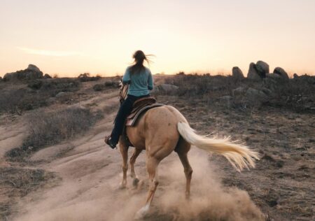 horse riding mallorca event