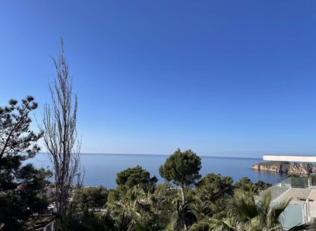 Moderne Luxus villa in Santa Ponsa Mallorca kaufen für 9.89 Millionen Euro53_View (1)