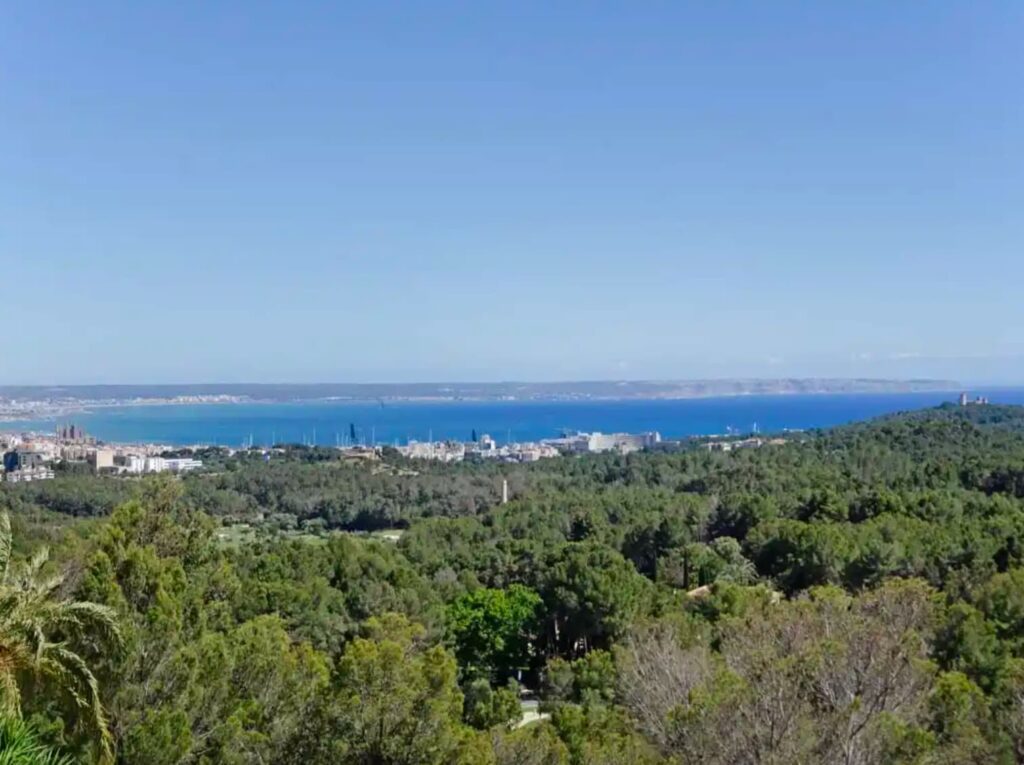 Großes son vida grundstück mit gutem meerblick kaufen mallorca.10.13