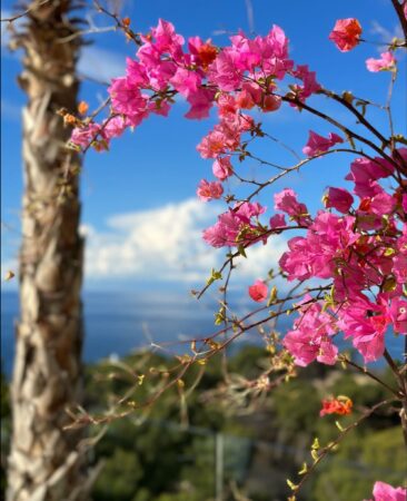 Luxus Villa in Port Andratx in bester Lage mit Meerblick kaufen Mallorca2.08